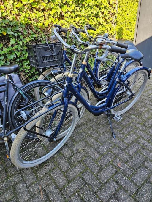 Smalland Loosdrecht Amsterdam Экстерьер фото